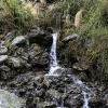 New Zealand, Fox Glacier