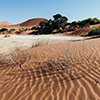 Namib Sossusvlei