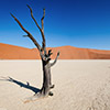 Deadvlei, Namibia