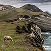 Neuseeland, Abel-Tasman-Nationalpark