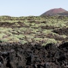 Lanzarote Timanfaya