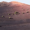 Lanzarote Timanfaya