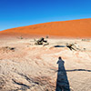 Deadvlei, Namibia