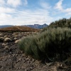 El Teide volcano