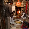 India, Rat Temple Karni Mata