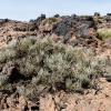 El Teide volcano