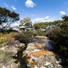 Rotorua, Taupo, geothermal