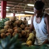 Fiji, Suva market