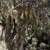 Simien Mountains