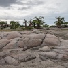 Makgadikgadi Pan