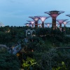 Gardens by the Bay