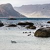 Brillenpinguine Boulders Beach