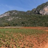 Vinales