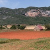 Vinales