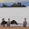 Neuseeland, Abel-Tasman-Nationalpark