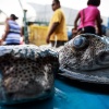 Fiji, Suva market