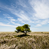 Etosha-Pfanne