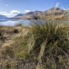 Neuseeland, Südliche Alpen, Lake Ohau
