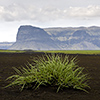 Sparsely vegetated Mýrdalssandur