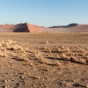 Namib desert