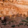 Petra, Jordanien