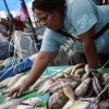 Fiji, Suva market