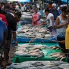 Fiji, Suva market