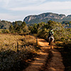 Vinales