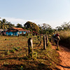 Vinales