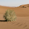 Dasht-e Lut desert, Iran