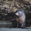 Neuseeland, Abel-Tasman-Nationalpark