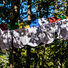 Tiger's Nest Monastery Taktshang Bhutan