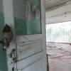 Pripyat, fish breeding