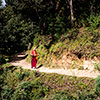 Tigernest Kloster Taktshang Bhutan