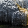 Rotorua, Whakarewarewa, geyser