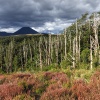 New Zealand, Tongariro Alpine Crossing