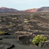 Lanzarote La Geria