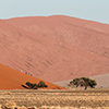 Namib Dune 45