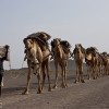 Danakil depression