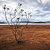 New Caledonia, Lac Yate, Lake Yate