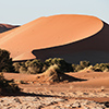 Namib Sossusvlei