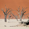 Deadvlei, Namibia