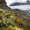 The Fjallsjökull Glacier