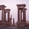 syria, palmyra