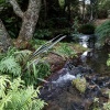 Rotorua, Buried Village