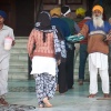 Indien, Amritsar, Goldener Tempel