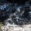 Wai-O-Tapu Geothermalgebiet, Rotorua