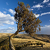 Simien Mountains