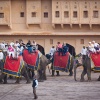 India, Jaipur, Amber Fort