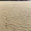 Neuseeland, Abel-Tasman-Nationalpark